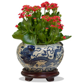 Blue and White Porcelain Double Dragon Asian Planter